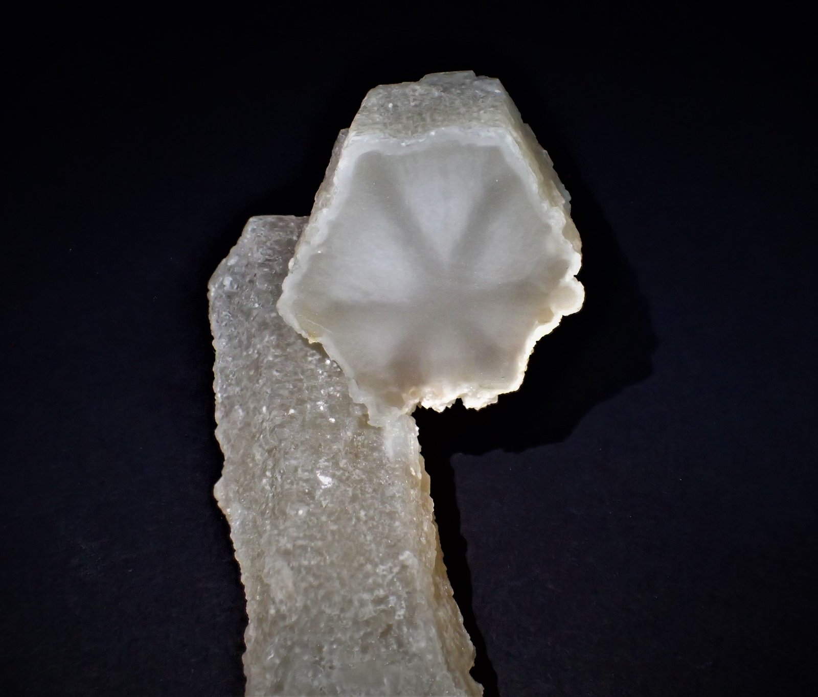 Quartz (variety trapiche)
105 mm x 44 mm x 44 mm
(Autor: Don Lum)