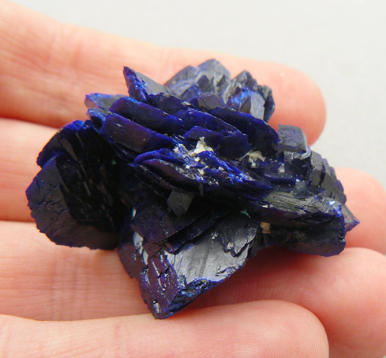 Azurite
4 x 3.2 x 2.6 cm
(Autor: Benj)