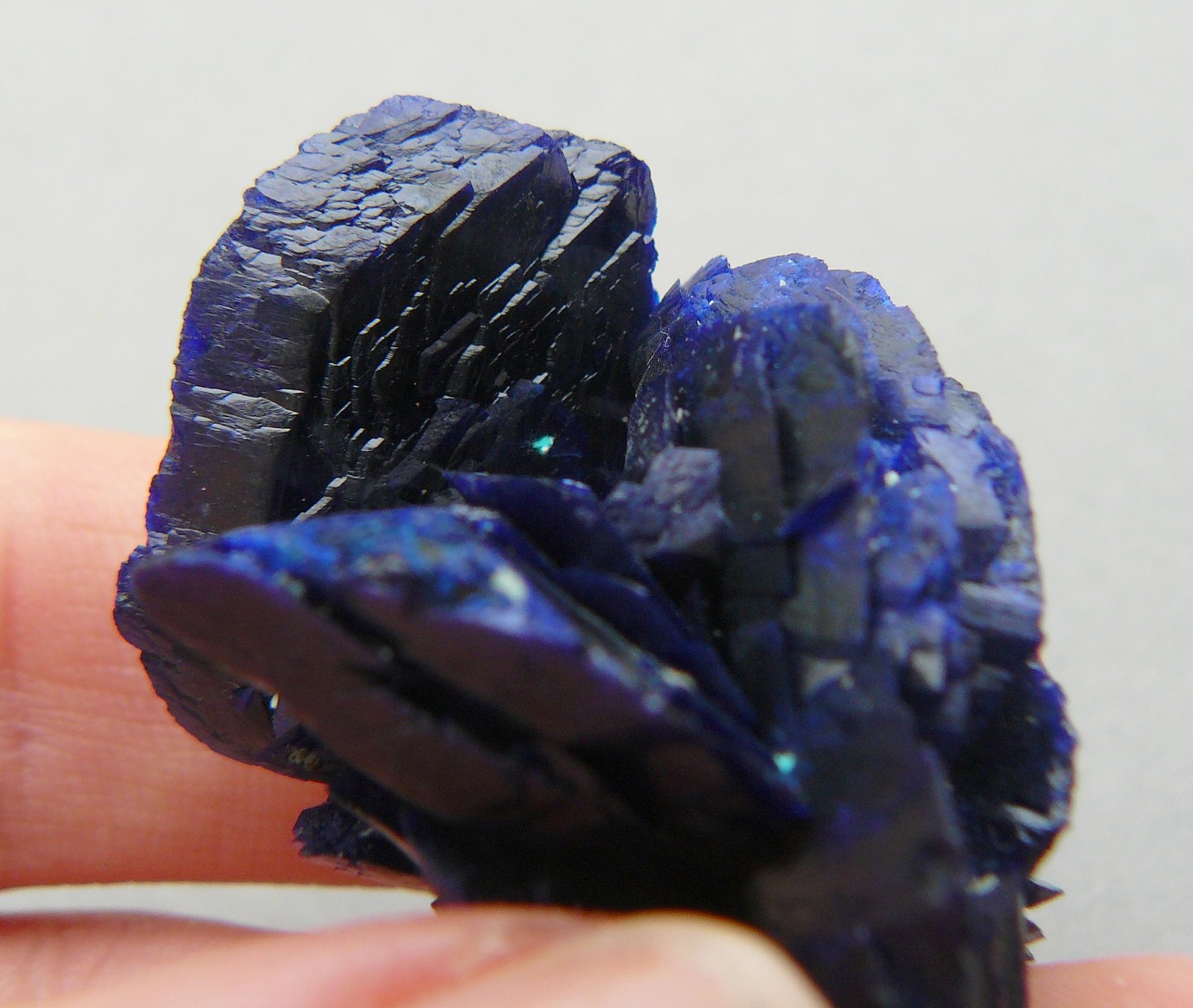 Azurite
4 x 3.2 x 2.6 cm
(Autor: Benj)