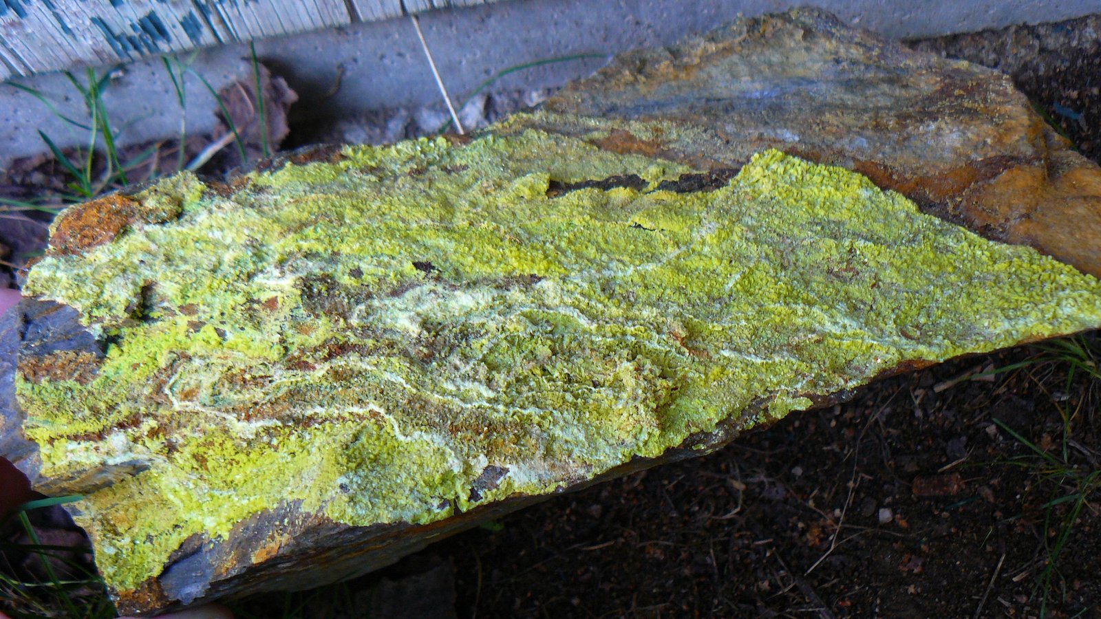 Autunite
40 x 15 cm
(Autor: Benj)