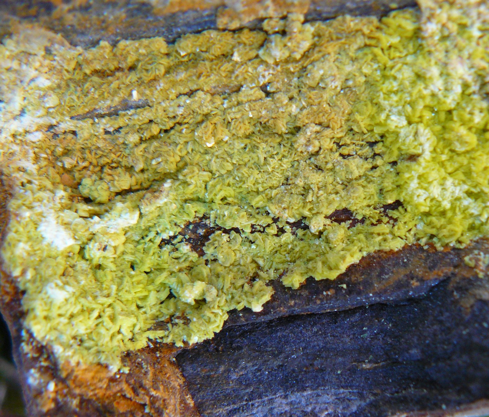 Autunite
(Autor: Benj)