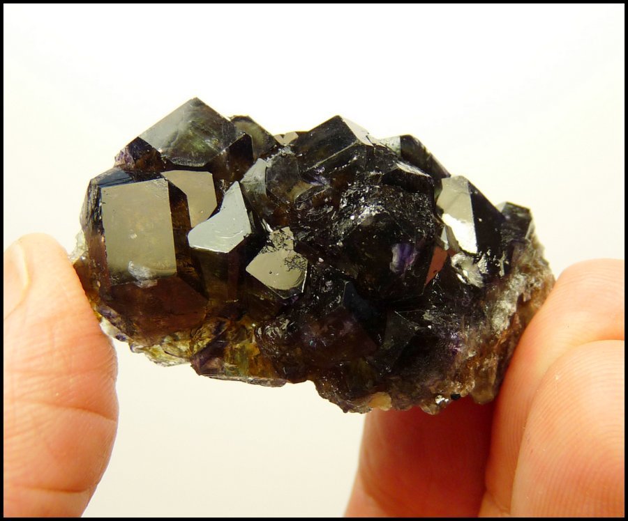 Fluorite
50 x 27 x 17 mm
(Autor: Pierre Joubert)