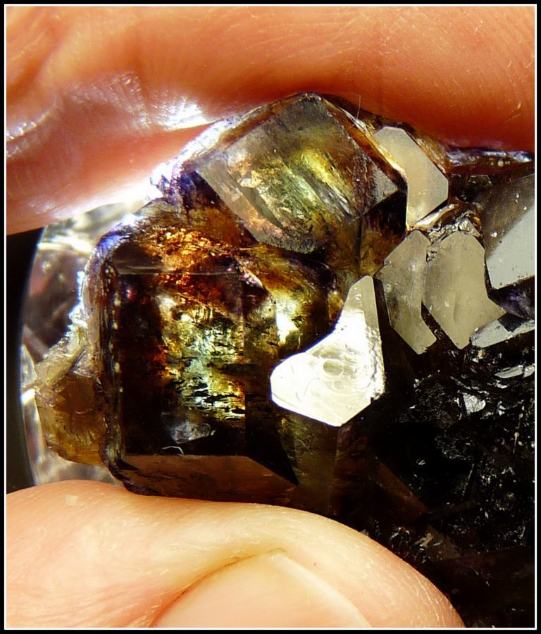 Fluorite
50 x 27 x 17 mm
(Autor: Pierre Joubert)
