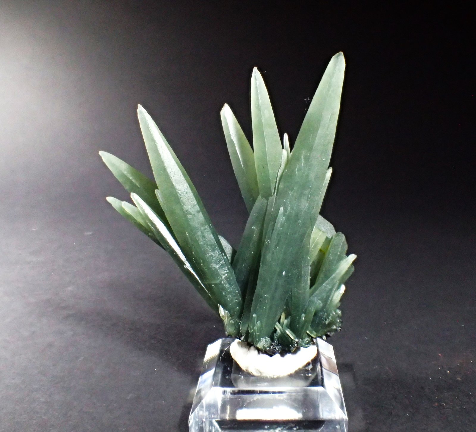 Quartz (variety prase)
77 mm x 65 mm x 24 mm
(Autor: Don Lum)