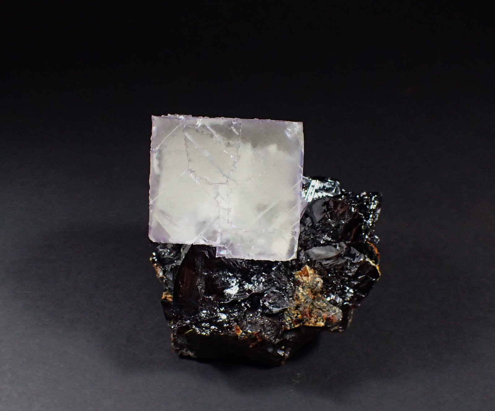 Fluorite, Sphalerite
86 mm x 80 mm
(Autor: Don Lum)