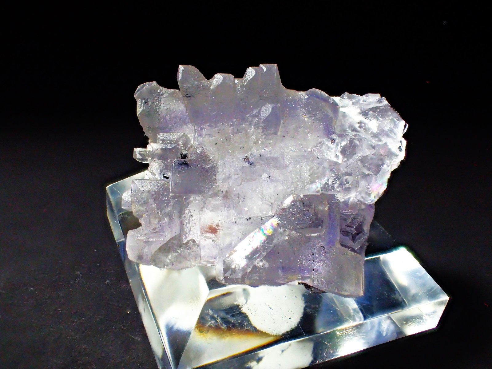 Fluorite, Sphalerite
36 mm x 32 mm
(Autor: Don Lum)