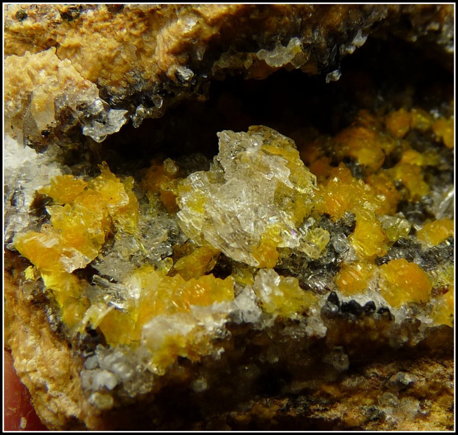 Boltwoodite and Calcite
66 x 45 x 23 mm
(Autor: Pierre Joubert)