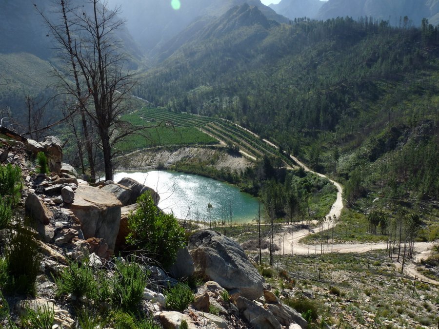 (Autor: Pierre Joubert)