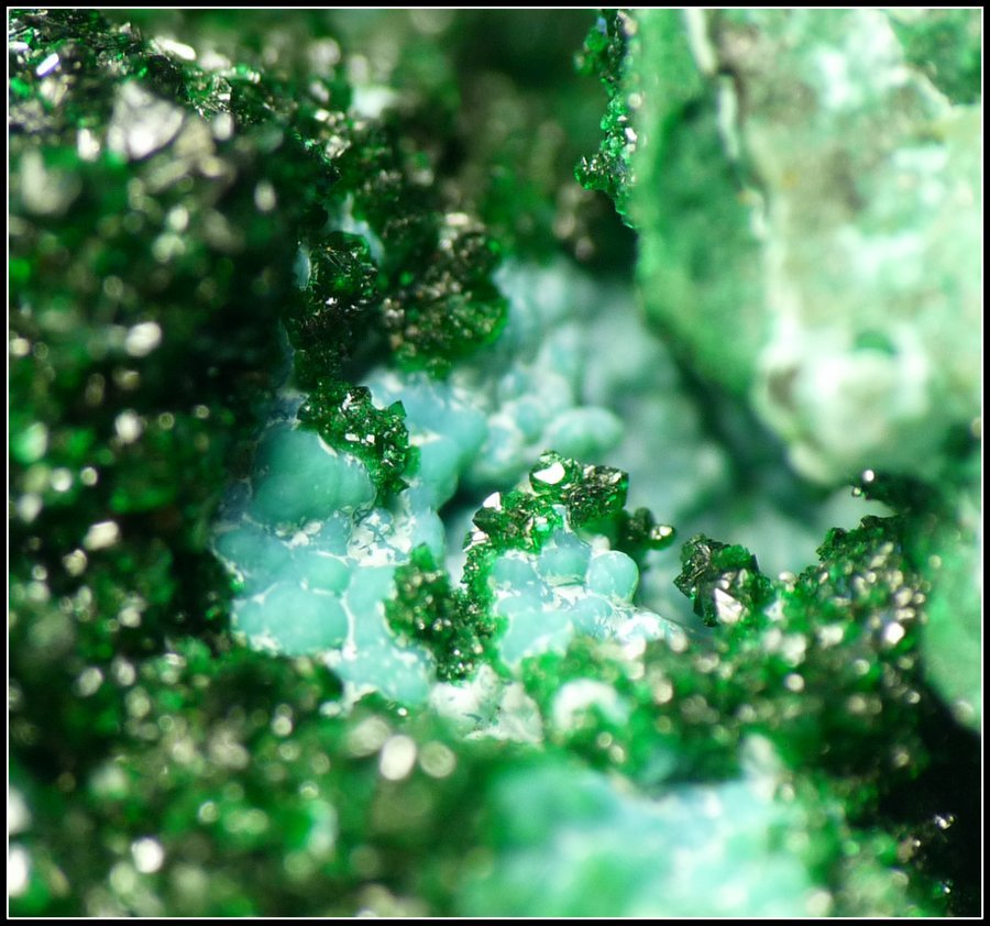 Liebethenite and chrysocolla
100 x 73 x 47 mm
(Autor: Pierre Joubert)
