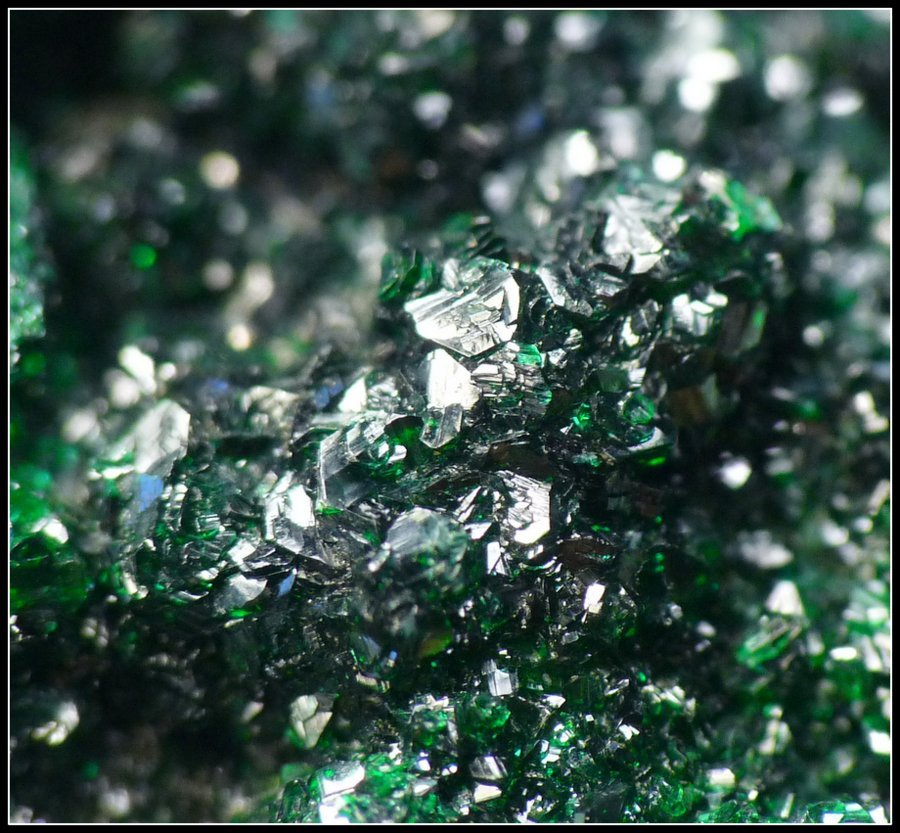 Liebethenite and chrysocolla
100 x 73 x 47 mm
(Autor: Pierre Joubert)