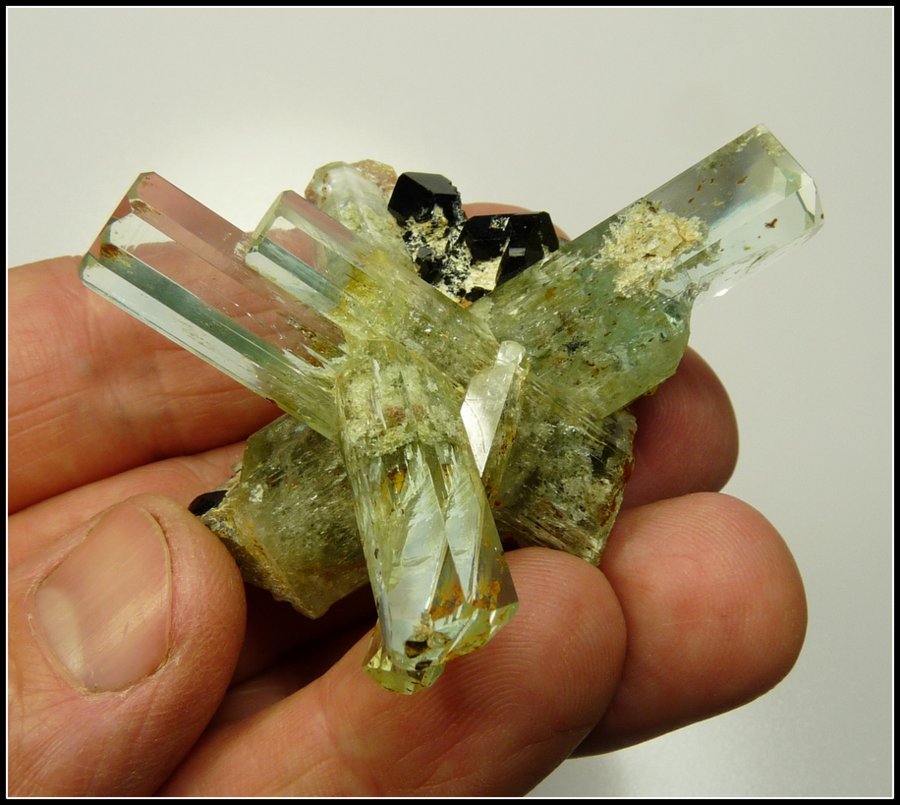 Beryl (variety aquamarine) with schorl
60 x 50 x 47 mm
(Autor: Pierre Joubert)