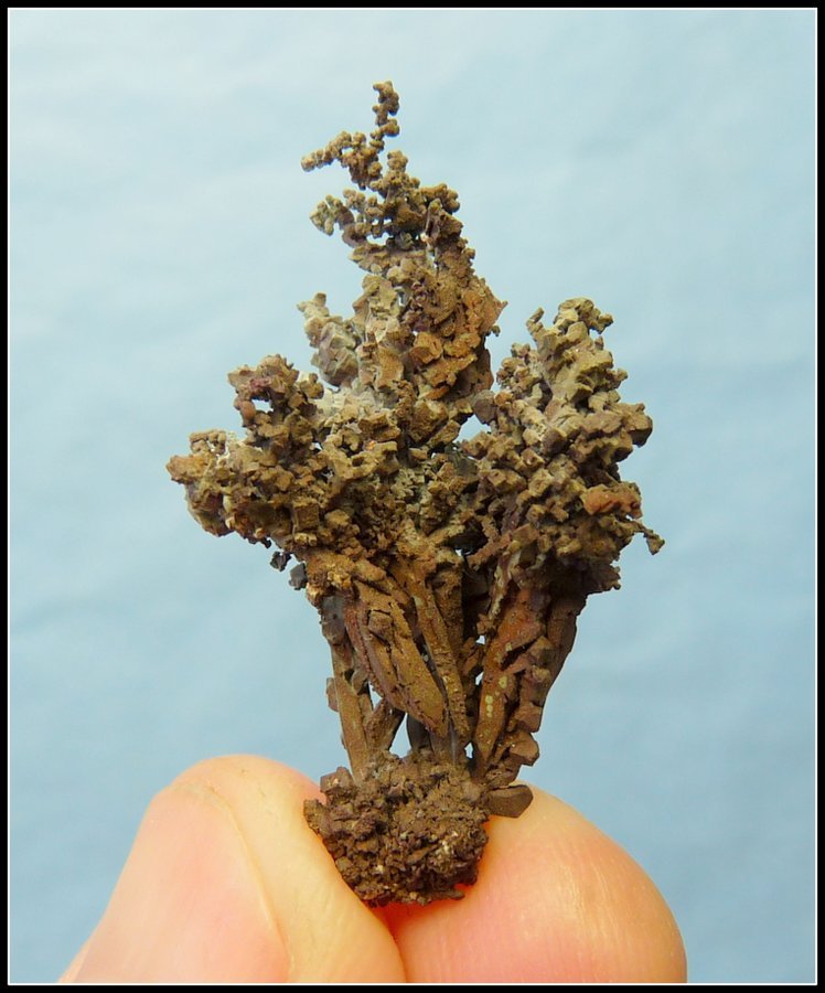Copper
35 x 21 x 13 mm
(Autor: Pierre Joubert)