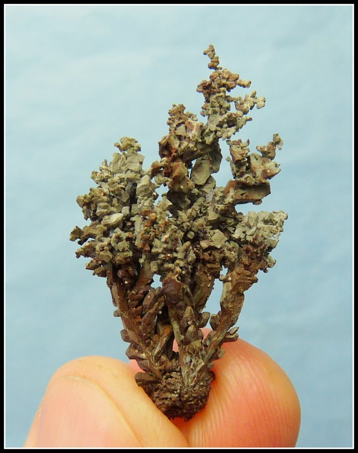 Copper
35 x 21 x 13 mm
(Autor: Pierre Joubert)