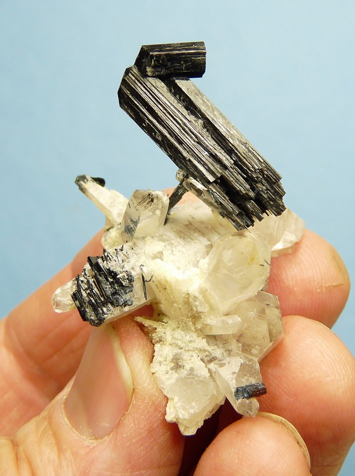 Foitite (Tourmaline Group) on Quartz
39 x 33 x 30 mm
(Autor: Pierre Joubert)