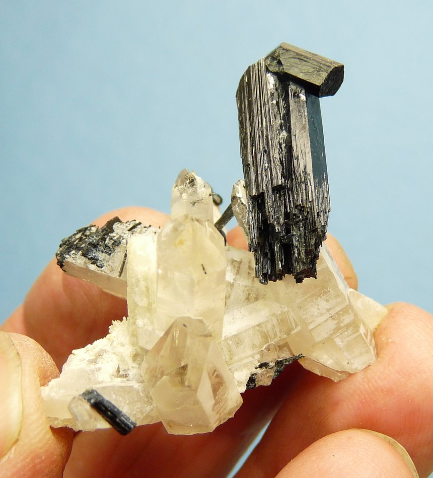Foitite (Tourmaline Group) on Quartz
39 x 33 x 30 mm
(Autor: Pierre Joubert)