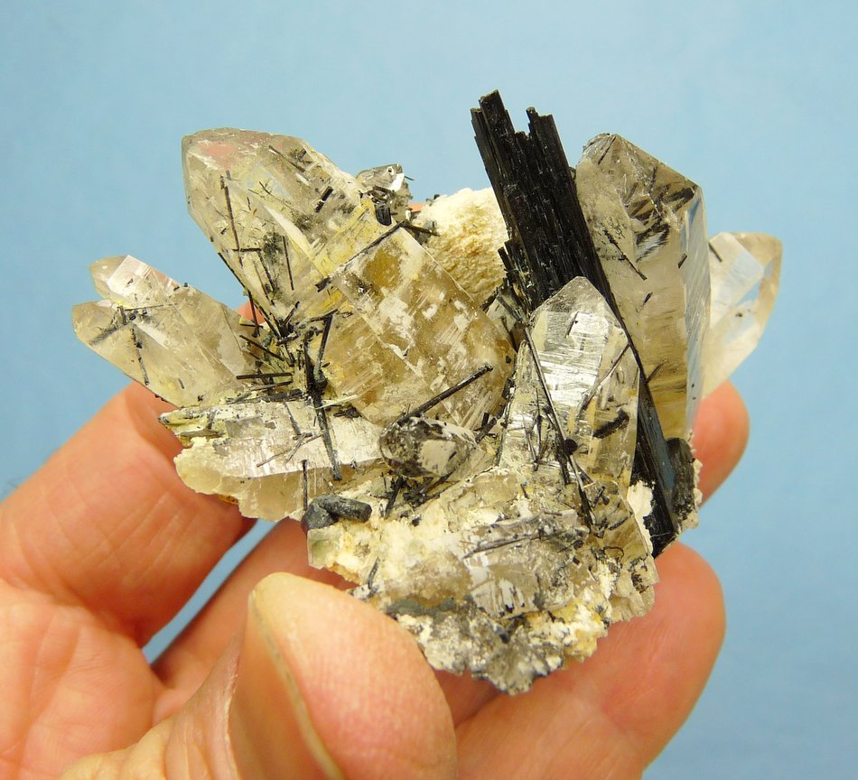 Foitite (Tourmaline Group) in and on Quartz and feldspar
82 x 49 x 38 mm
(Autor: Pierre Joubert)