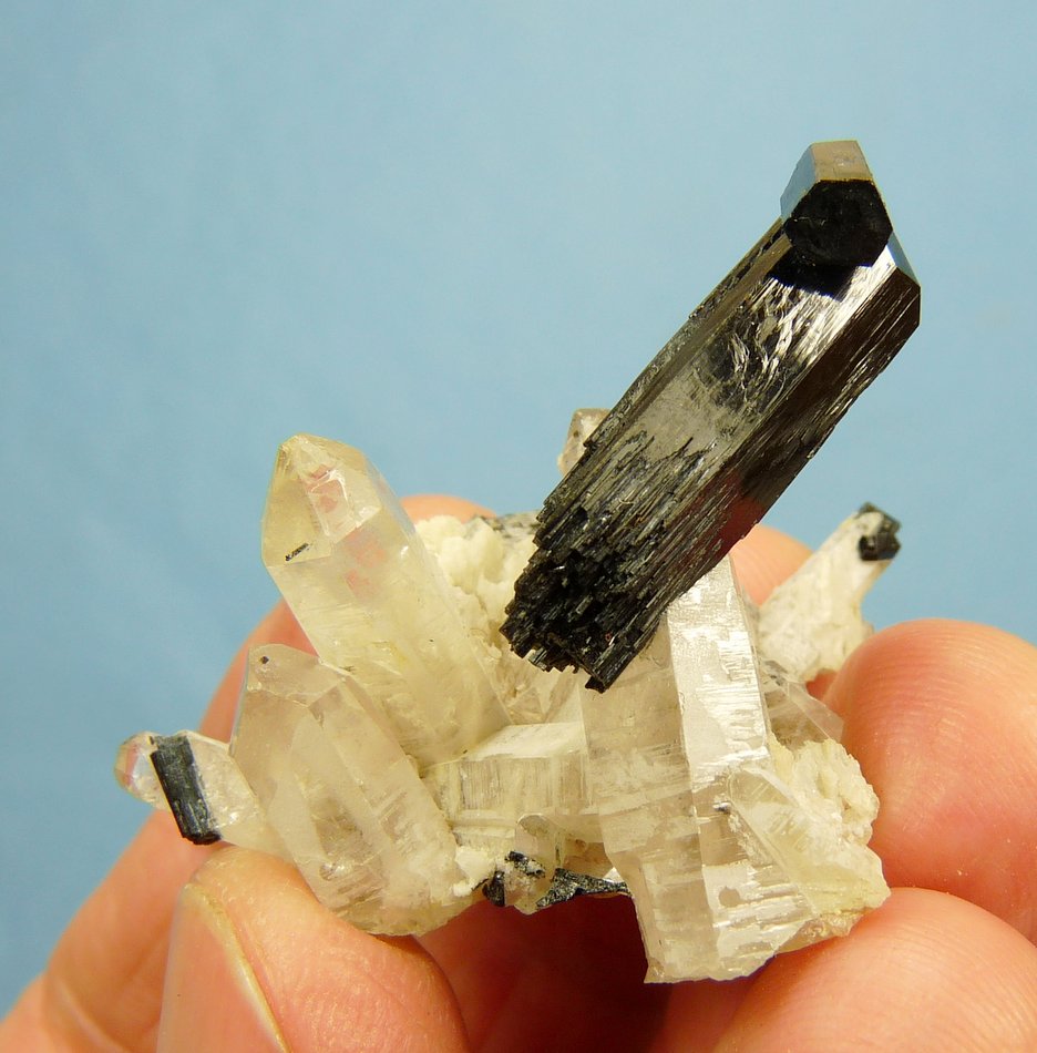 Foitite (Tourmaline Group) on Quartz
39 x 33 x 30 mm
(Autor: Pierre Joubert)