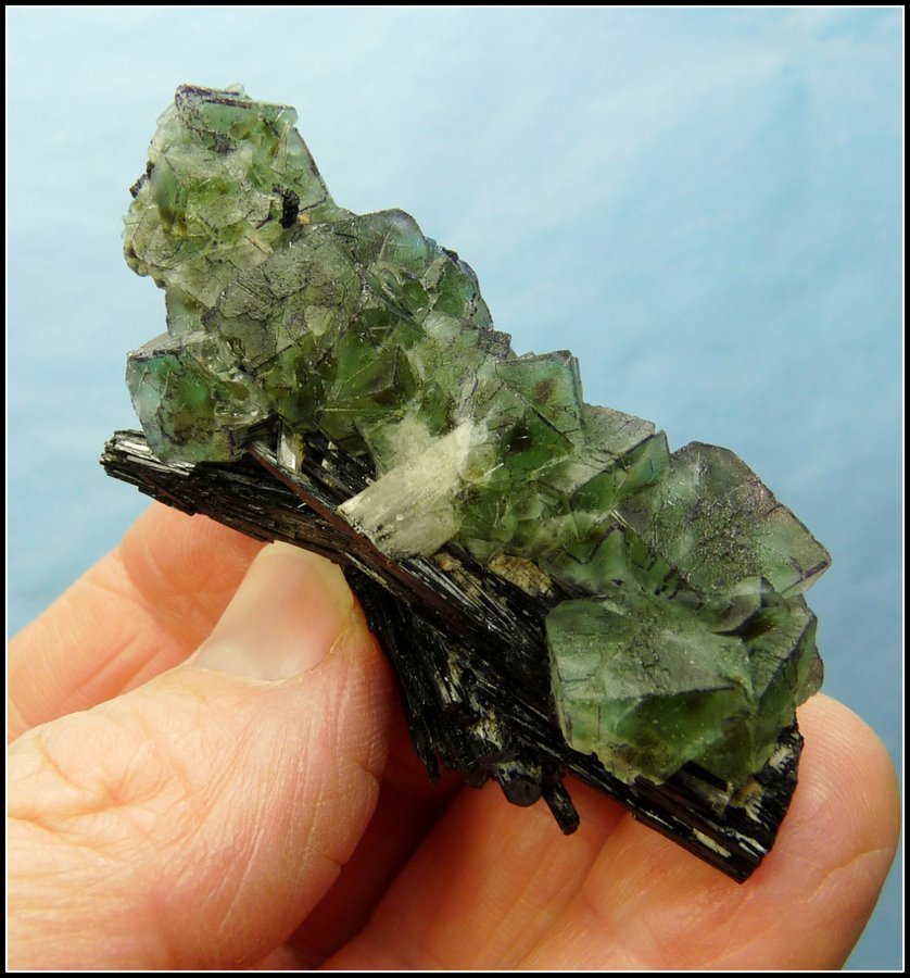Fluorite with Schorl
68 x 32 x 28 mm
(Autor: Pierre Joubert)