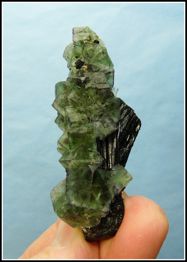 Fluorite with Schorl
68 x 32 x 28 mm
(Autor: Pierre Joubert)