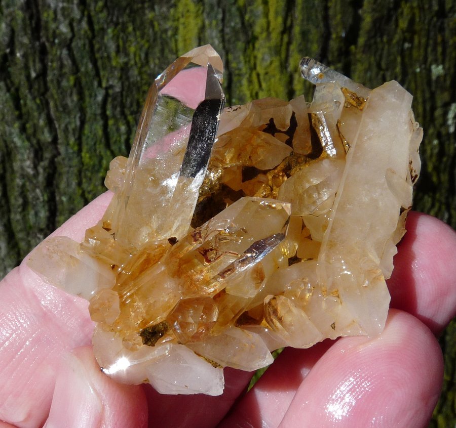 Quartz
66 x 42 x 36 mm
(Autor: Pierre Joubert)