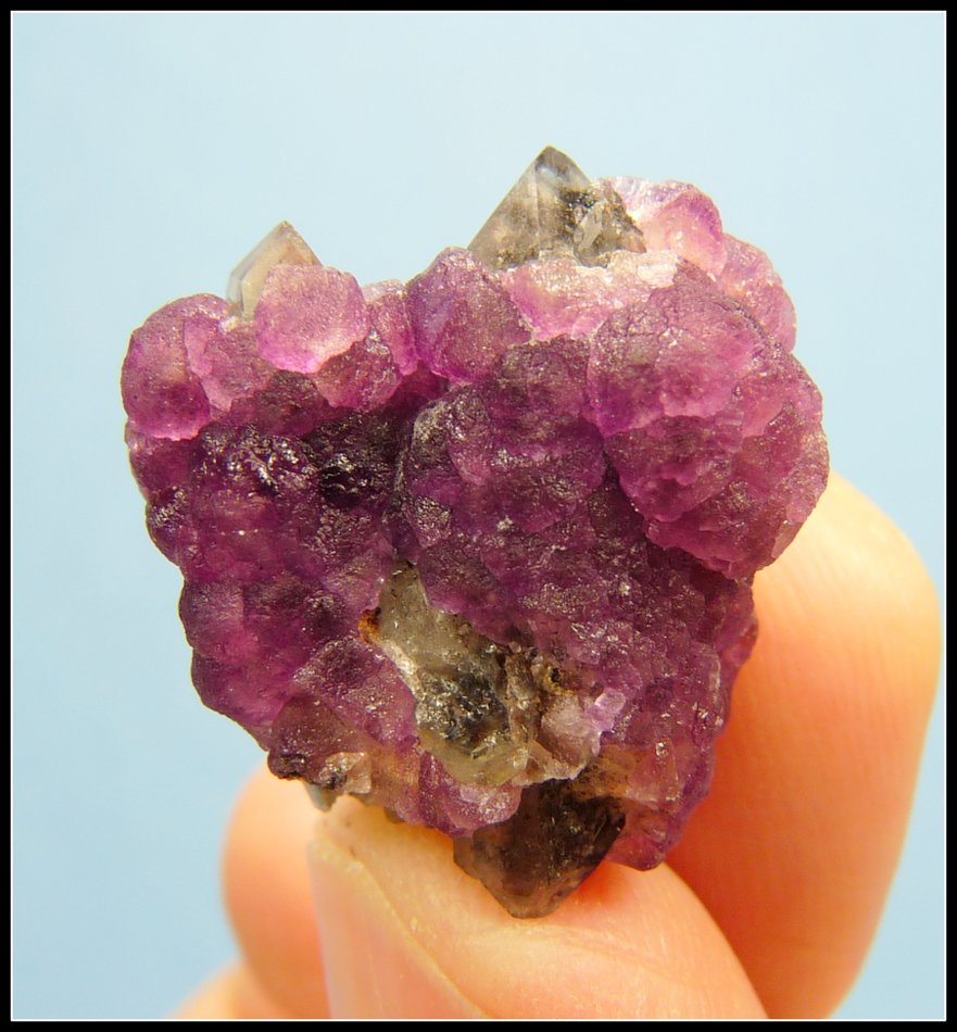 Fluorite on Quartz
24 x 22 x 13 mm
(Autor: Pierre Joubert)