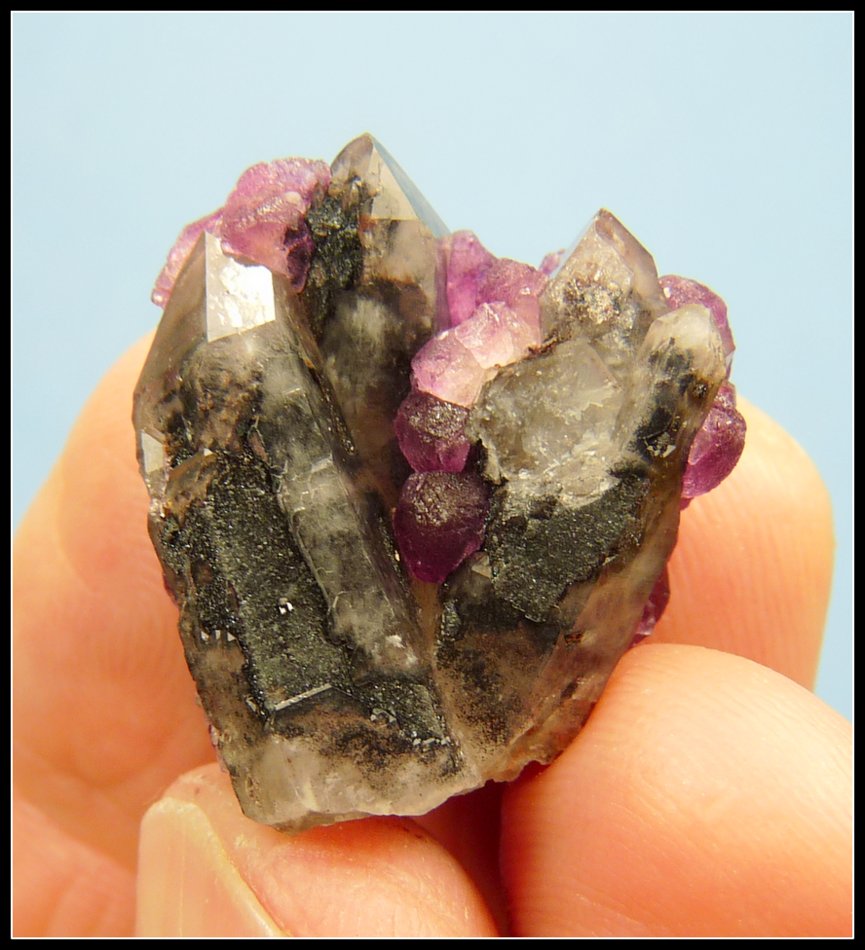 Fluorite on Quartz
24 x 22 x 13 mm
(Autor: Pierre Joubert)