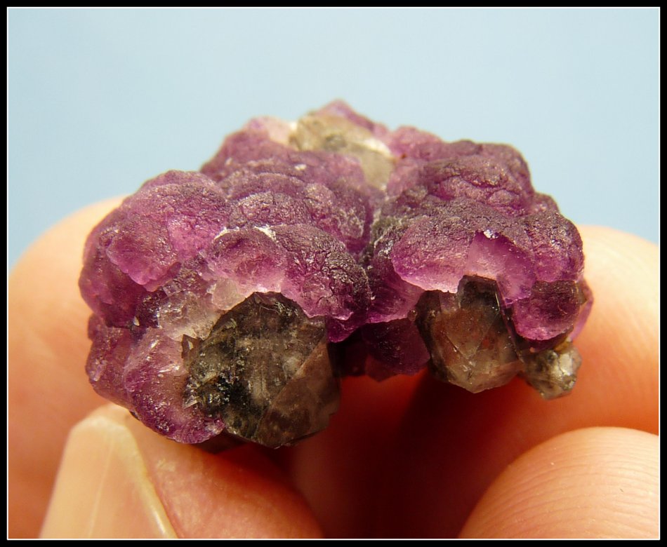 Fluorite on Quartz
24 x 22 x 13 mm
(Autor: Pierre Joubert)