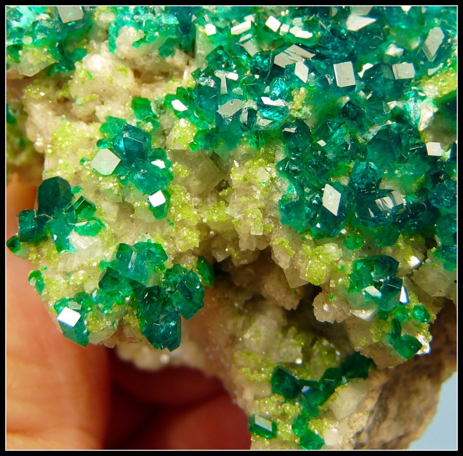 Dioptase on calcite.
52 x 47 x 30 mm
(Autor: Pierre Joubert)