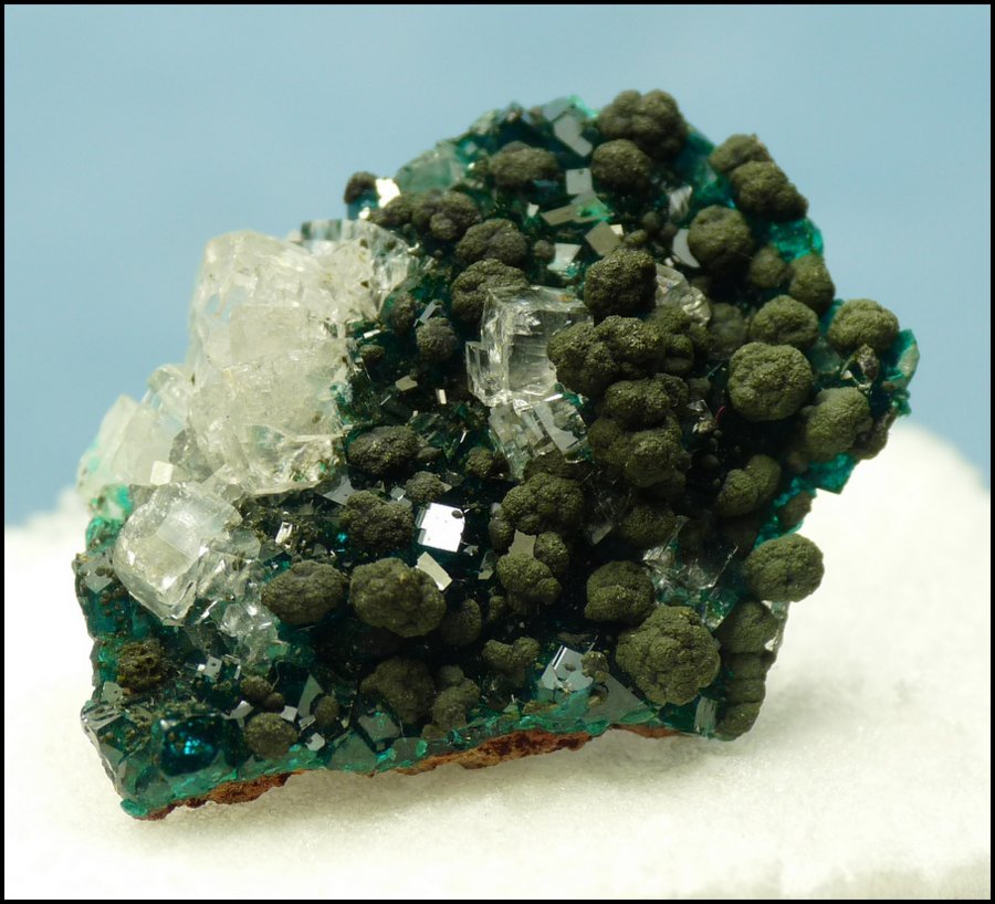Calcite, Mottramite, Dioptase
30 x 22 x 10 mm
(Autor: Pierre Joubert)