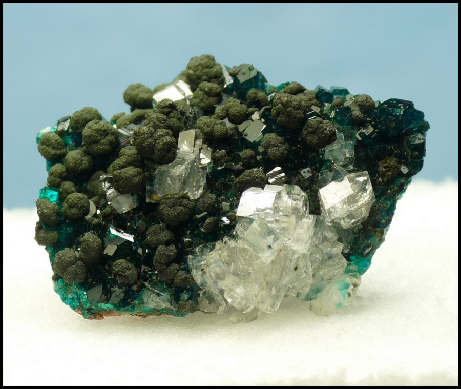 Calcite, Mottramite, Dioptase
30 x 22 x 10 mm
(Autor: Pierre Joubert)