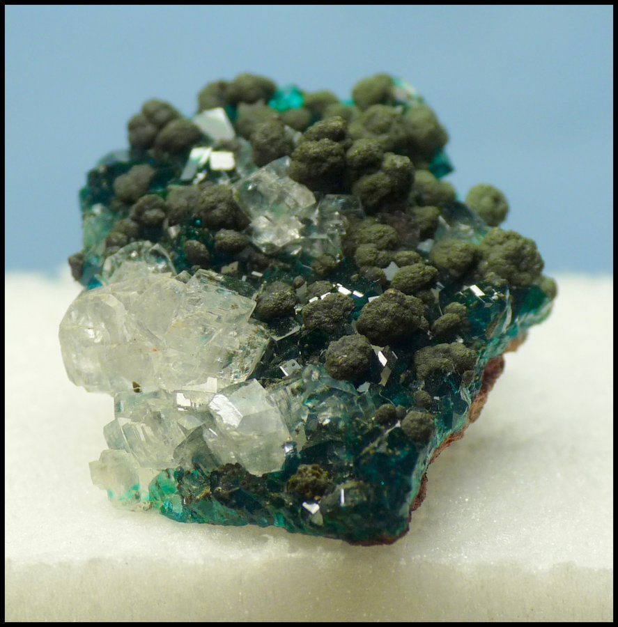 Calcite, Mottramite, Dioptase
30 x 22 x 10 mm
(Autor: Pierre Joubert)