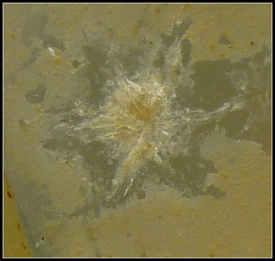 Quartz
F.O.V. approximately 3 mm
(Autor: Pierre Joubert)