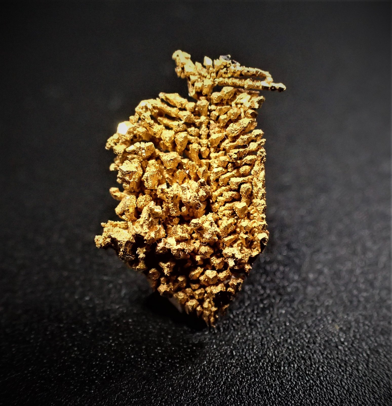 Gold
16 mm x 11 mm x 6 mm
(Autor: Don Lum)