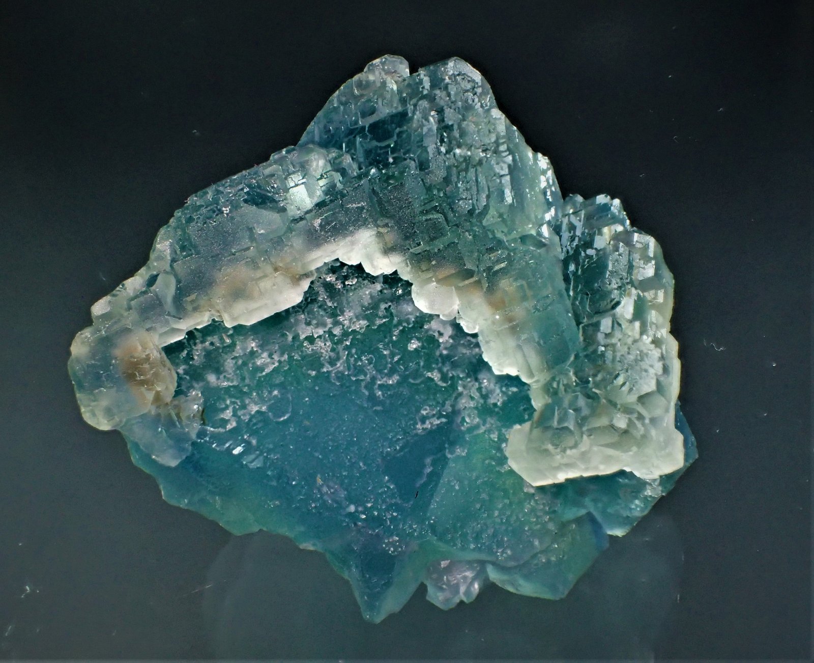 Fluorite
54 mm x 47 mm x 35 mm
(Autor: Don Lum)