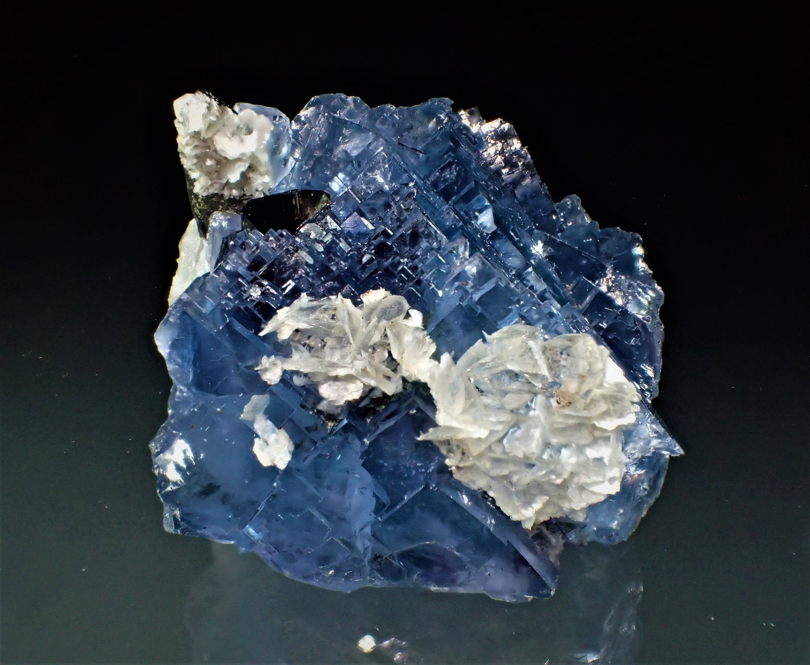 Fluorite, Calcite, Quartz (variety smoky quartz)
58 mm x 55 mm x 33 mm
(Autor: Don Lum)