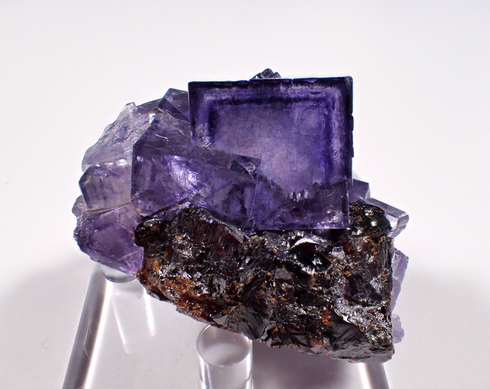 Fluorite, Sphalerite, Calcite, Pyrite
54 mm x 47 mm x 31 mm
(Autor: Don Lum)