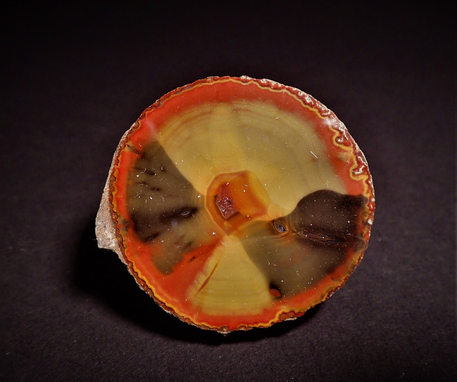Quartz (variety chalcedony, variety agate)
49 mm x 46 mm
(Autor: Don Lum)
