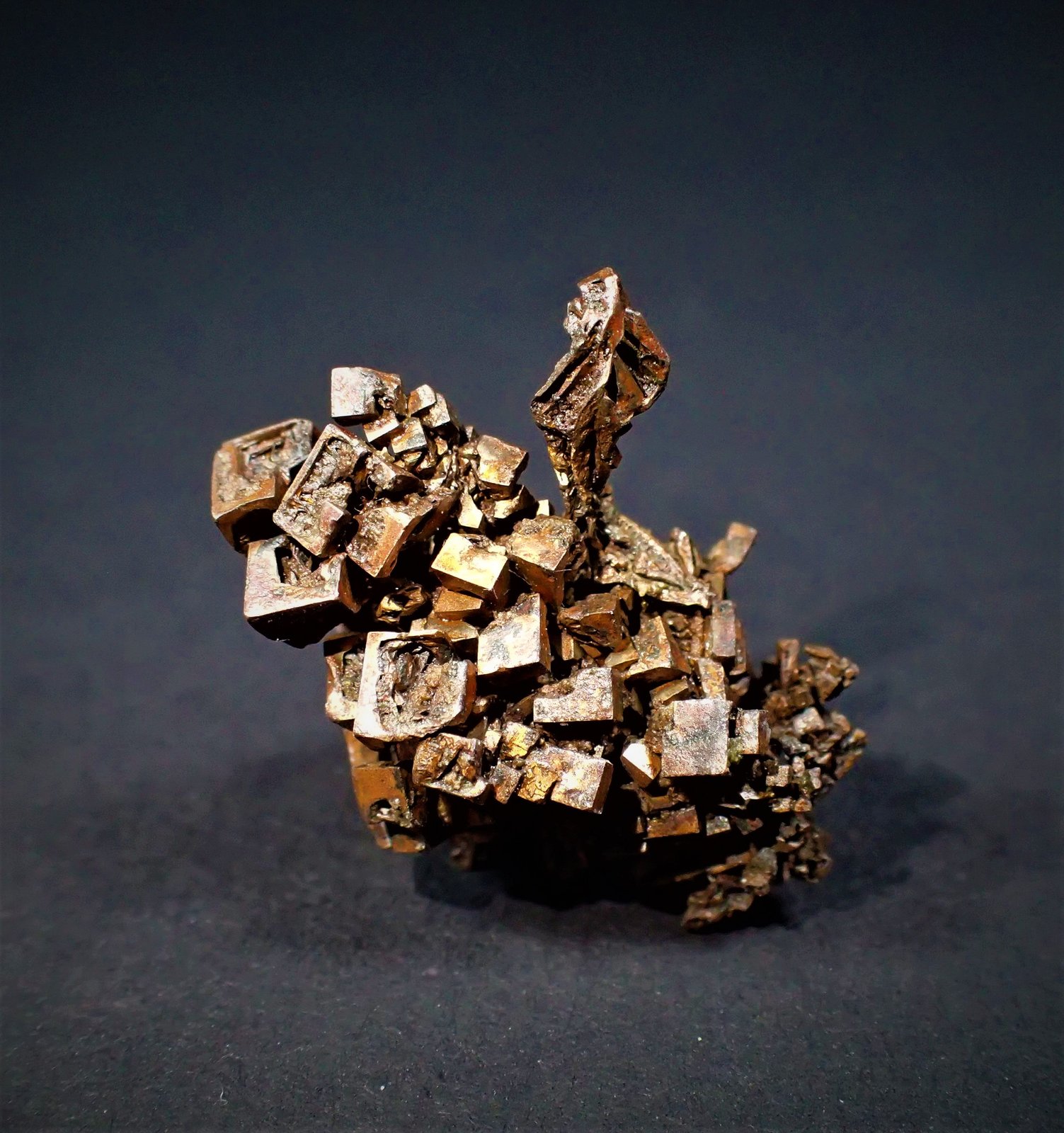 Native Copper (Spinel Twin, Cubic Crystals)
22 mm x 18 mm
(Autor: Don Lum)