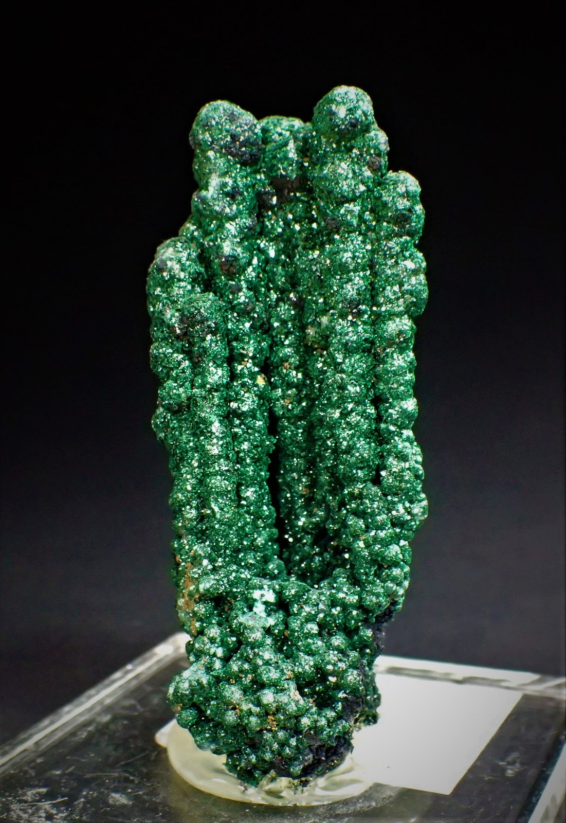 Malachite
63 mm x 28 mm
(Autor: Don Lum)