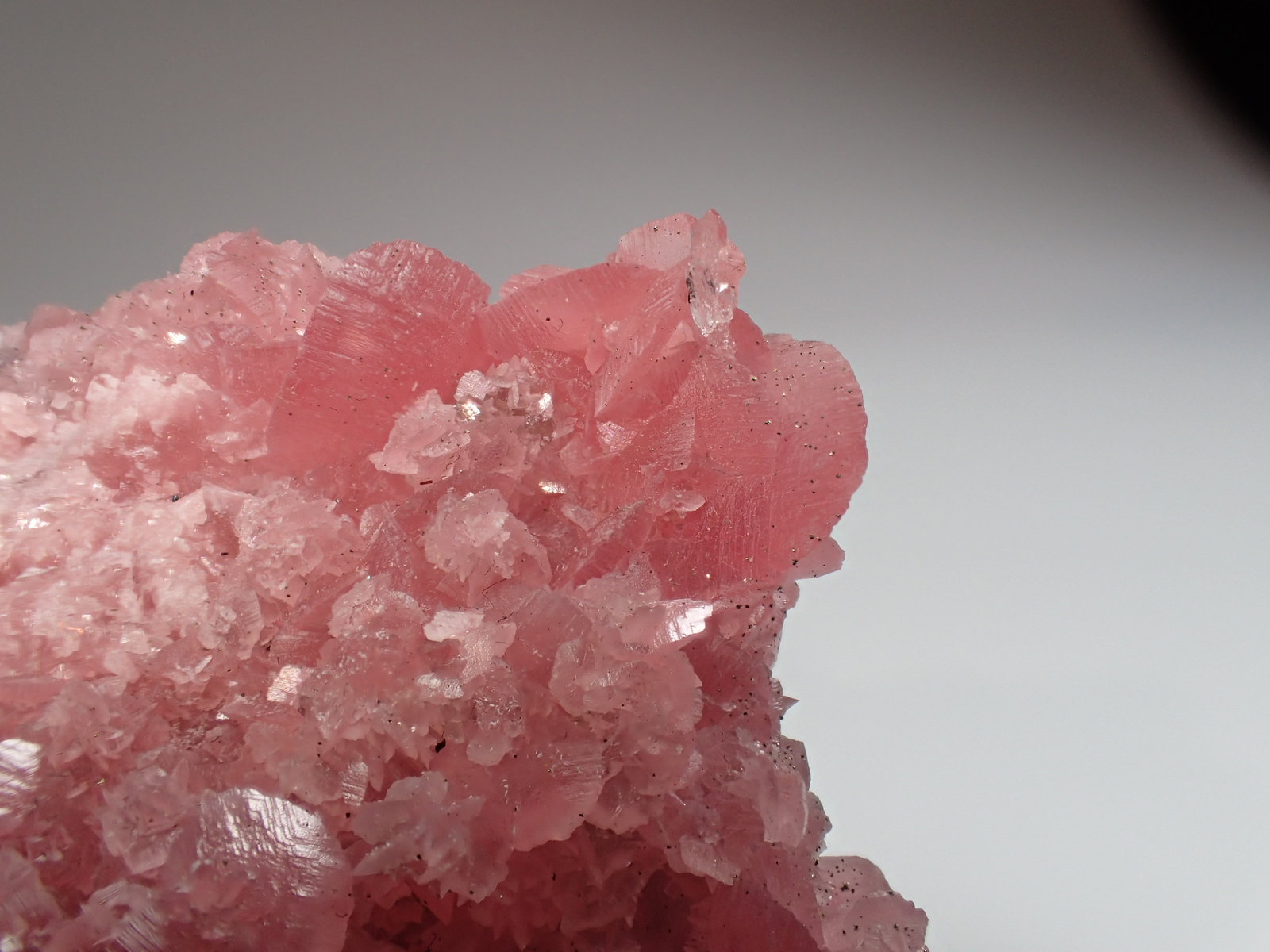 Rhodochrosite, Pyrite, Fluorite, Quartz
77 mm x 57 mm x 27 mm
(Autor: Don Lum)