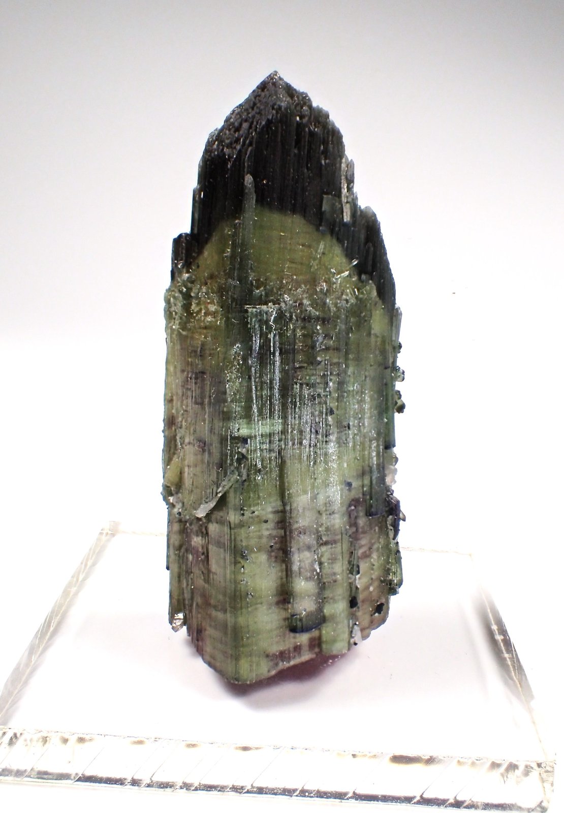 Elbaite (Tourmaline Group)
60 mm x 26 mm x 25 mm
(Autor: Don Lum)