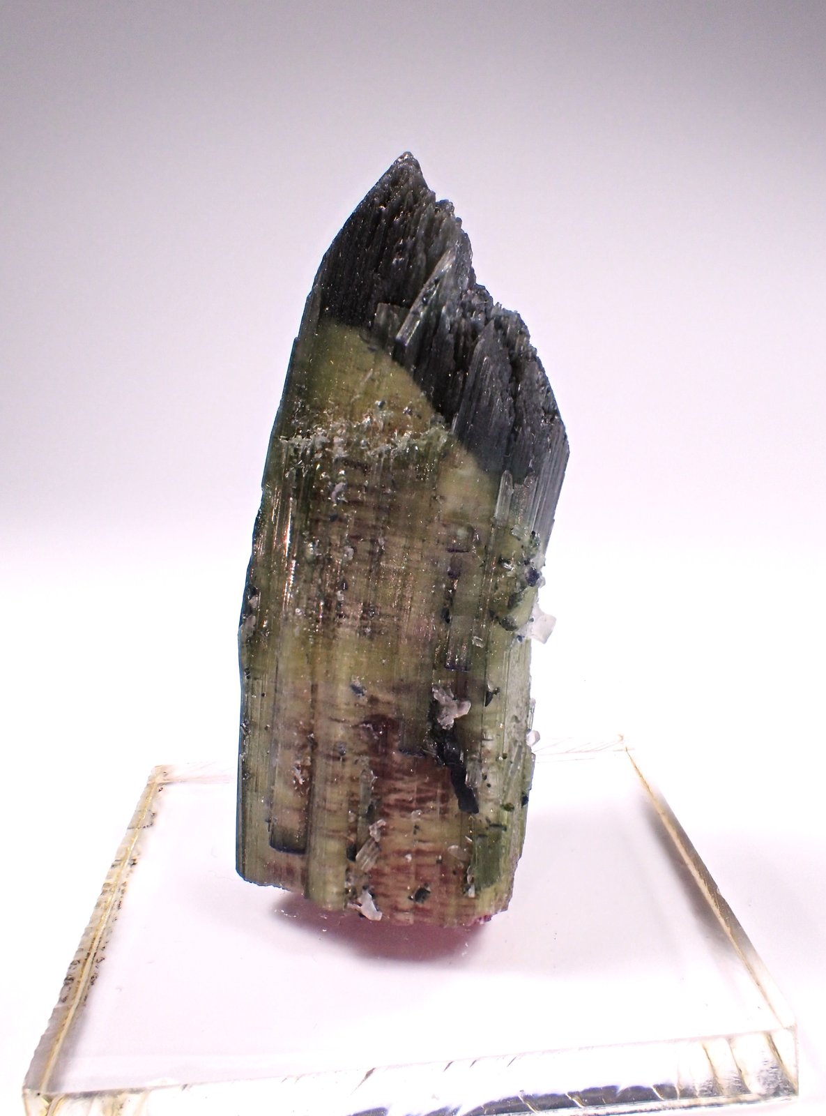 Elbaite (Tourmaline Group)
60 mm x 26 mm x 25 mm
(Autor: Don Lum)