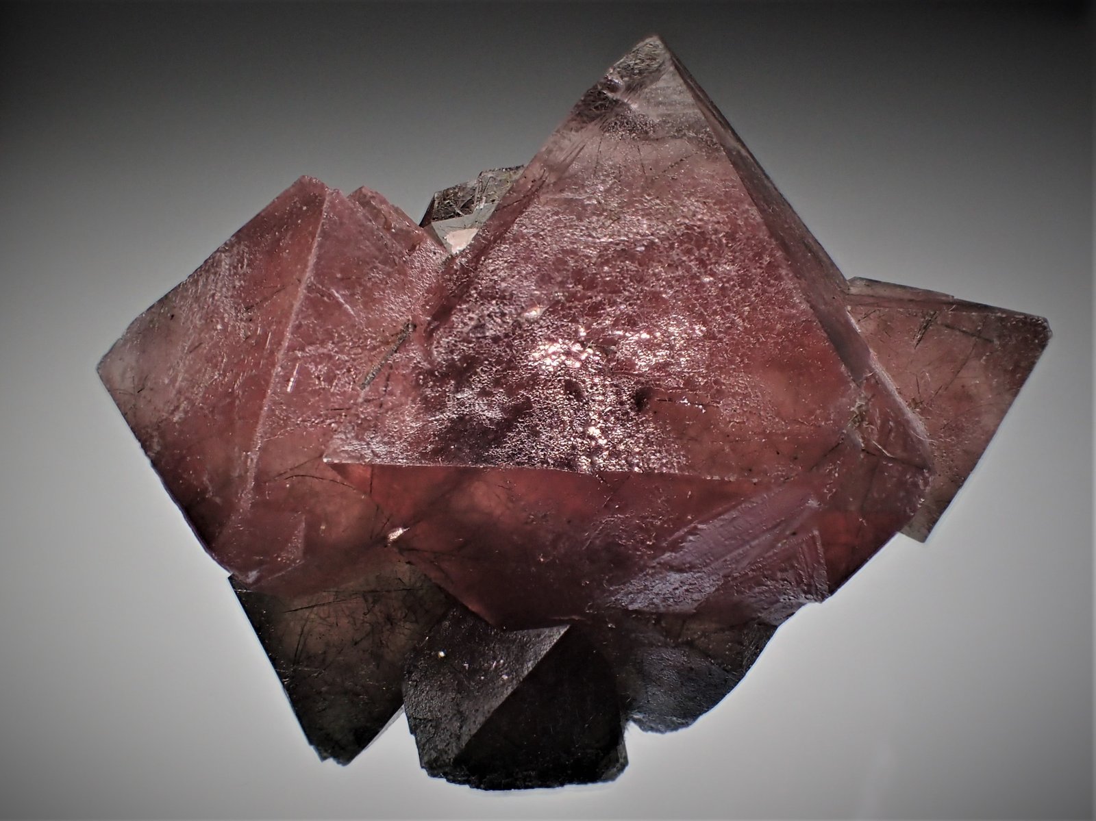 Fluorite
49 mm x 40 mm x 34 mm
(Autor: Don Lum)