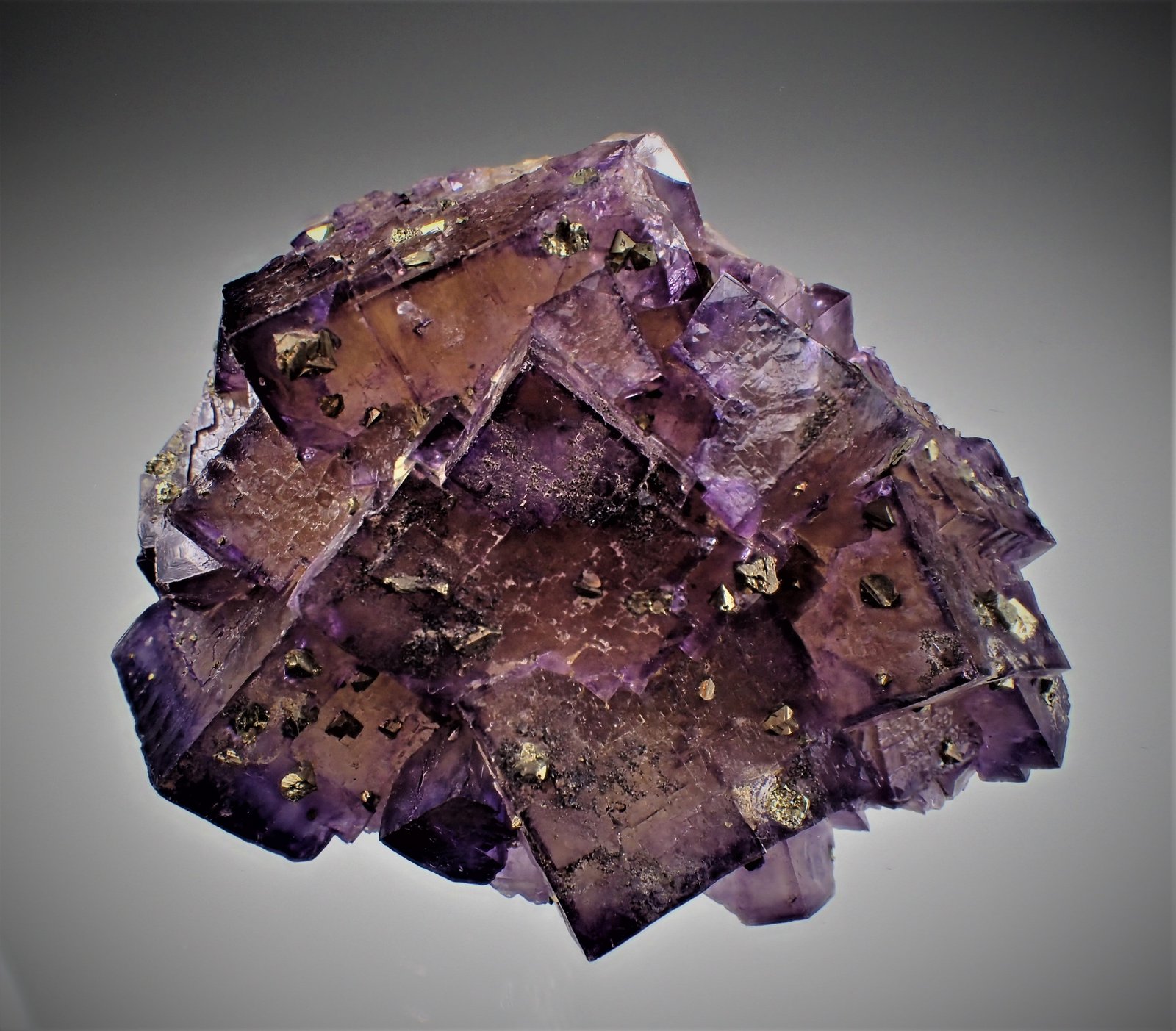 Fluorite, Chalcopyrite
70 mm x 65 mm x 30 mm
(Autor: Don Lum)