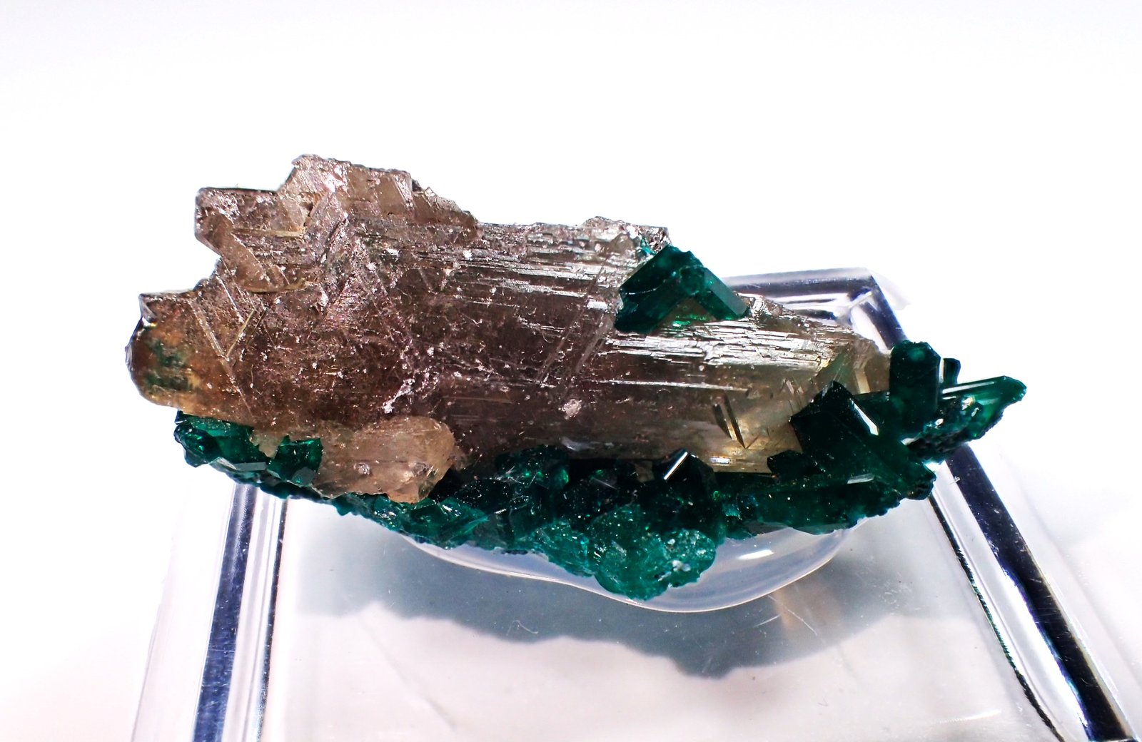 Cerussite, Dioptase
39 mm x 23 mm x 16 mm
(Autor: Don Lum)
