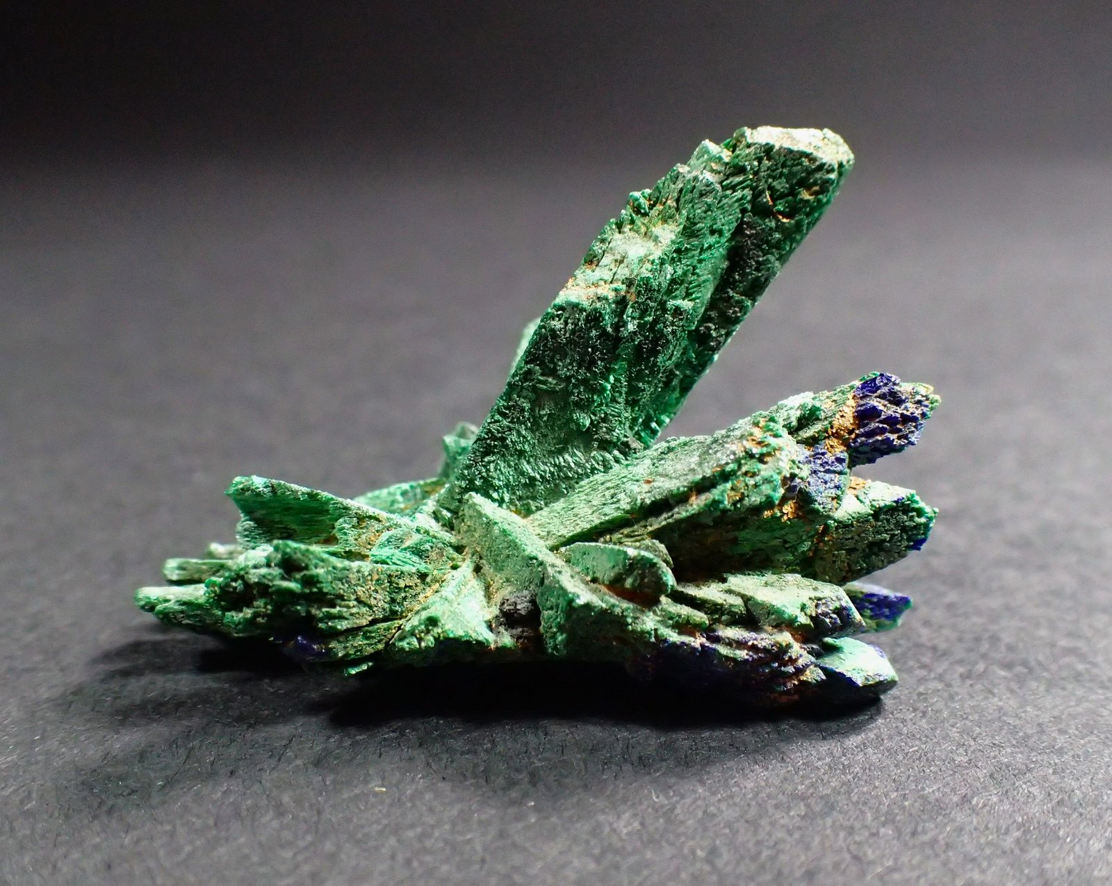 Malachite after Azurite
39 mm x 34 mm x 26 mm
(Autor: Don Lum)