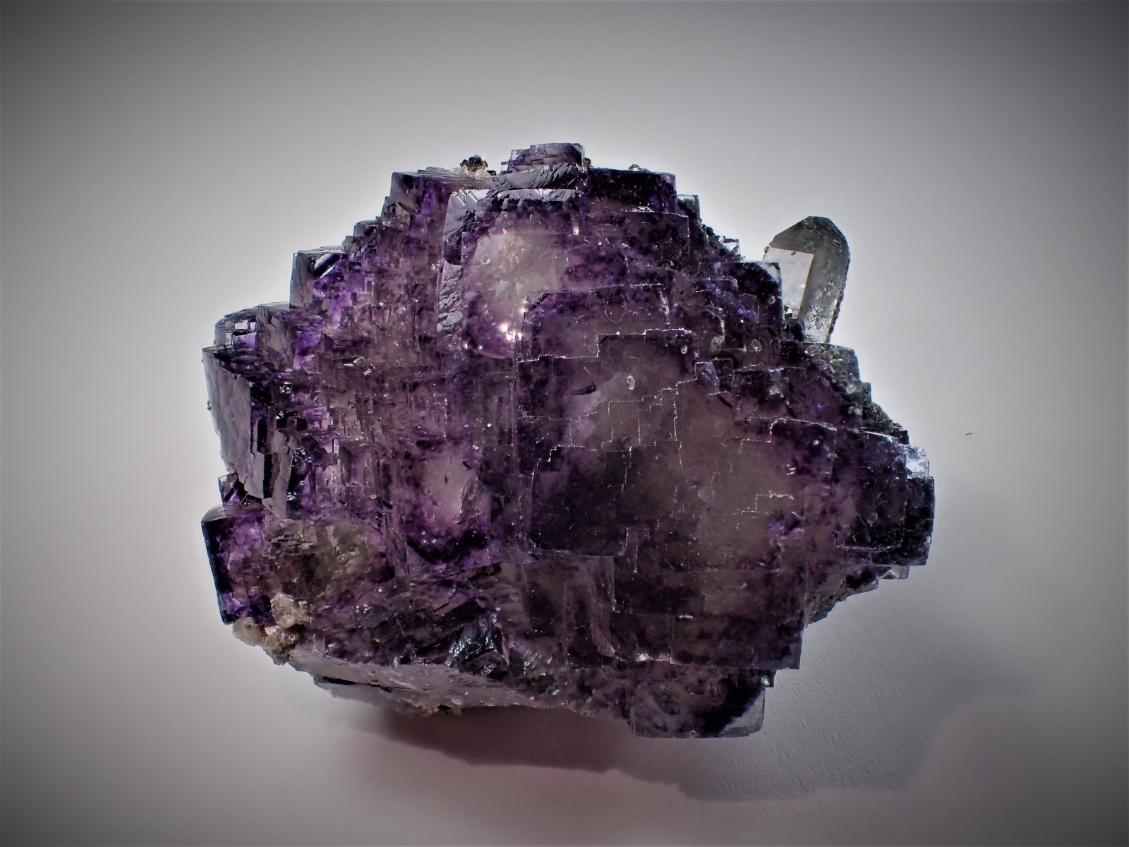 Fluorite, Quartz
43 mm x 37 mm x 30 mm
(Autor: Don Lum)