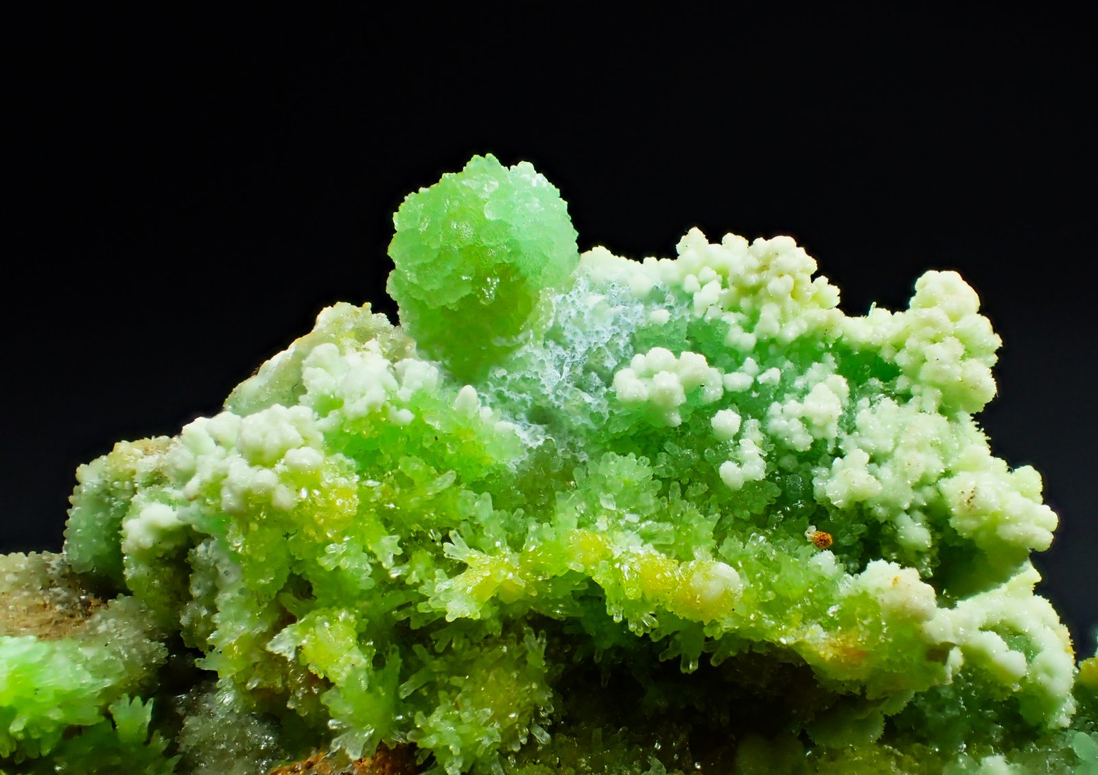 Mimetite, Pyromorphite
98 mm x 57 mm x 32 mm
(Autor: Don Lum)