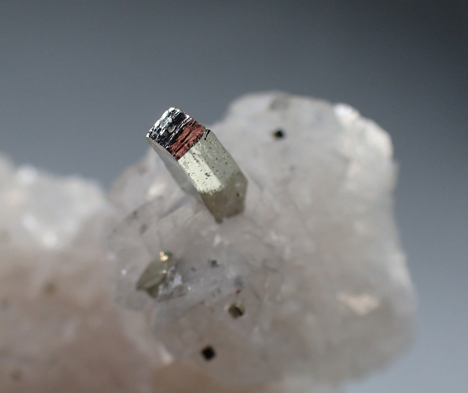Pyrite, Calcite, Dolomite
35mm x 35mm x 47mm
(Autor: Don Lum)