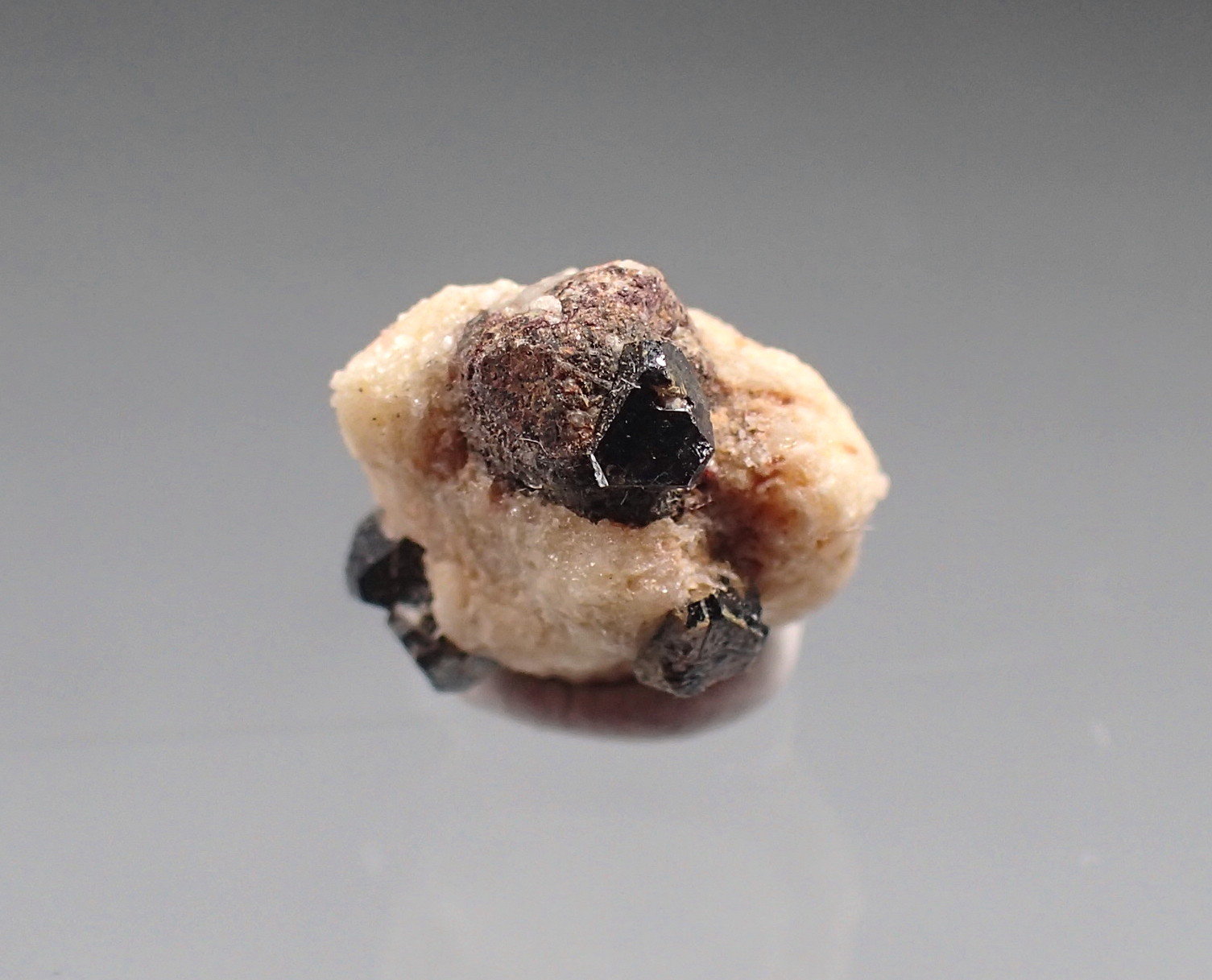 Kimzeyite, Perovskite, Albite
11mm x 11mm x 7mm
(Autor: Don Lum)